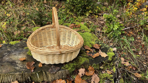 Pilzkorb Naturweide weiss "Perli" – Bild 3