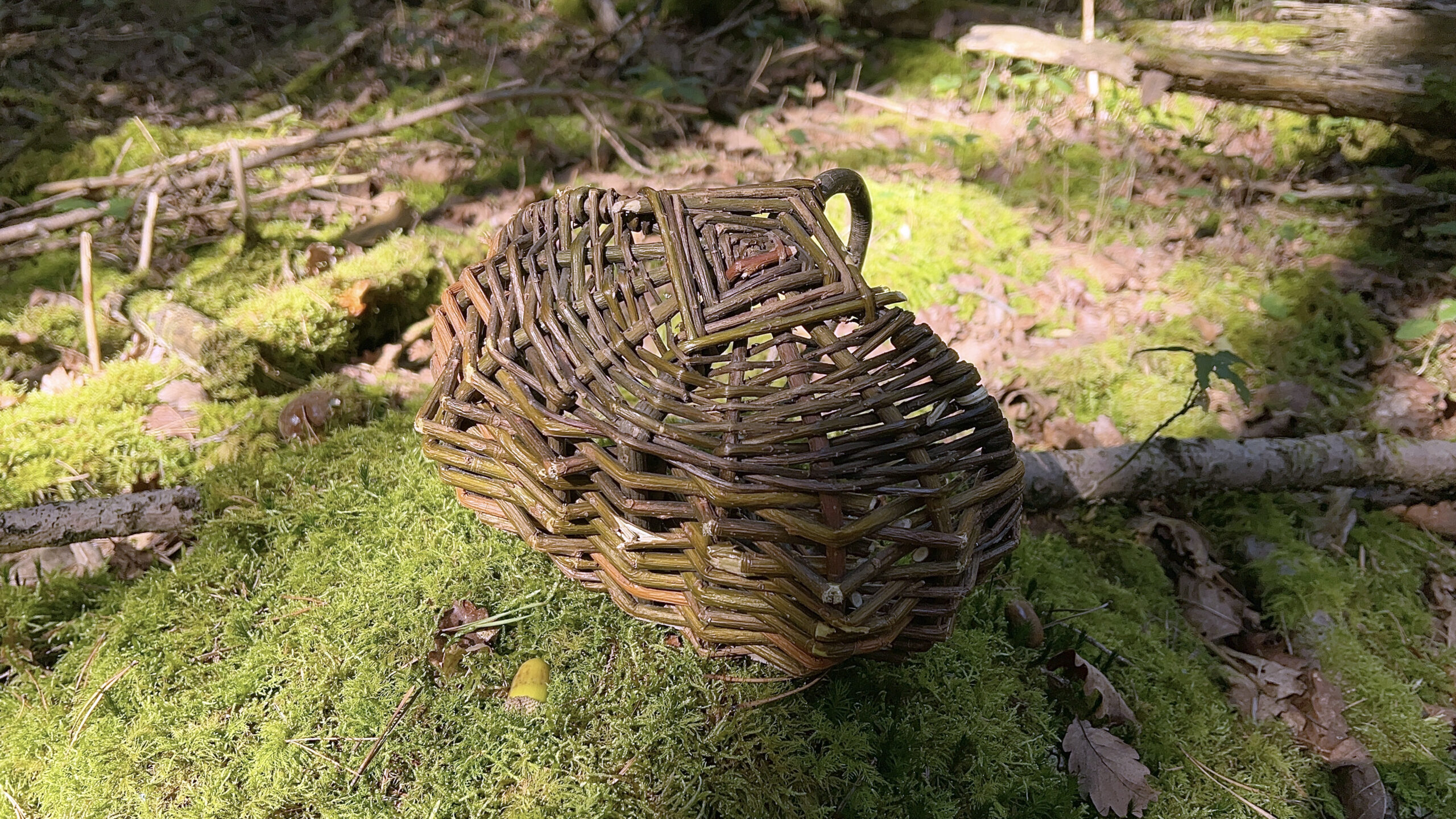 Pilzkorb Naturweide klein "Maroni" | Kids – Bild 3