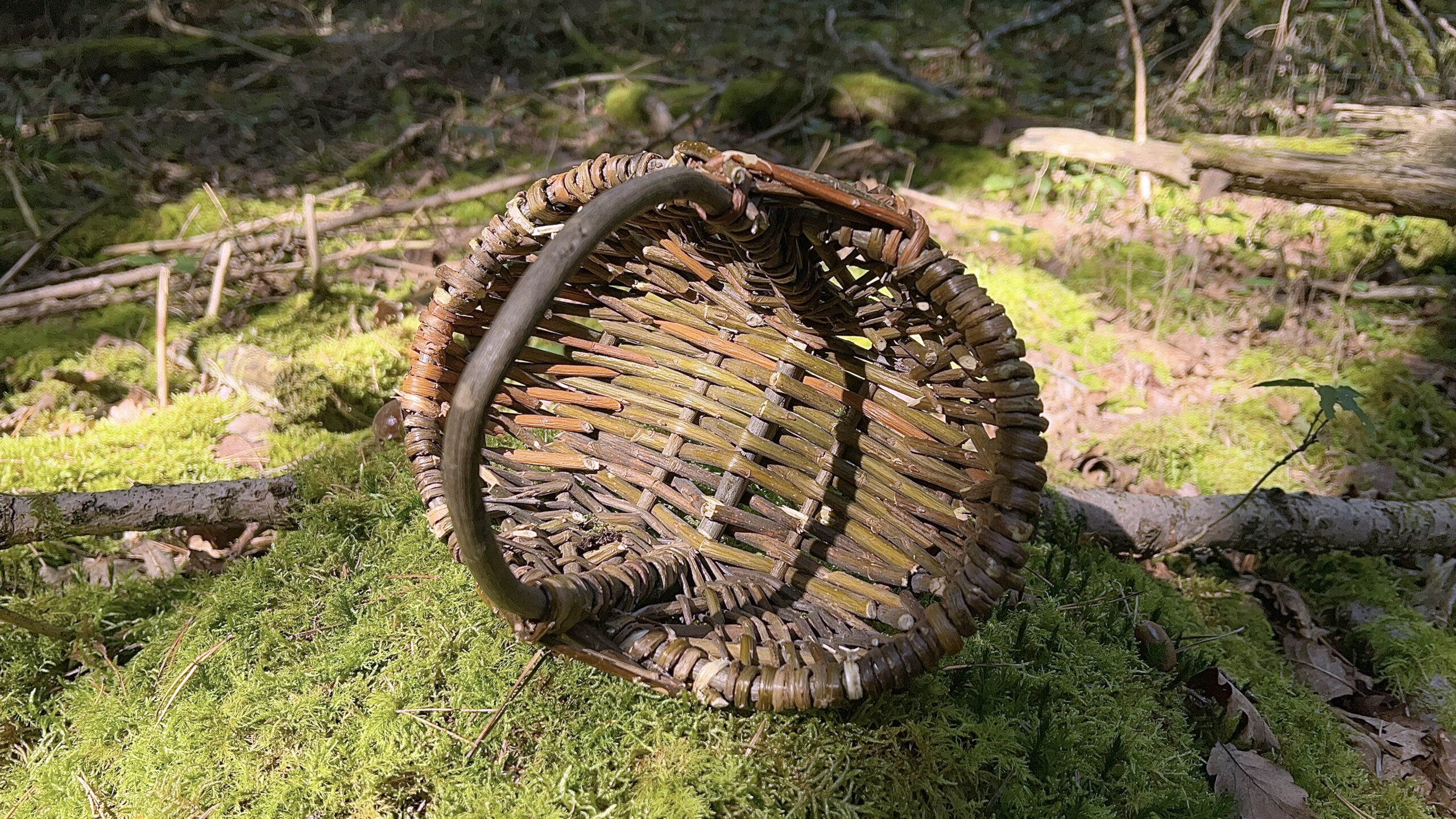 Pilzkorb Naturweide klein "Maroni" | Kids – Bild 2