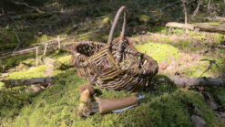 Pilzkorb Naturweide klein "Maroni" | Kids