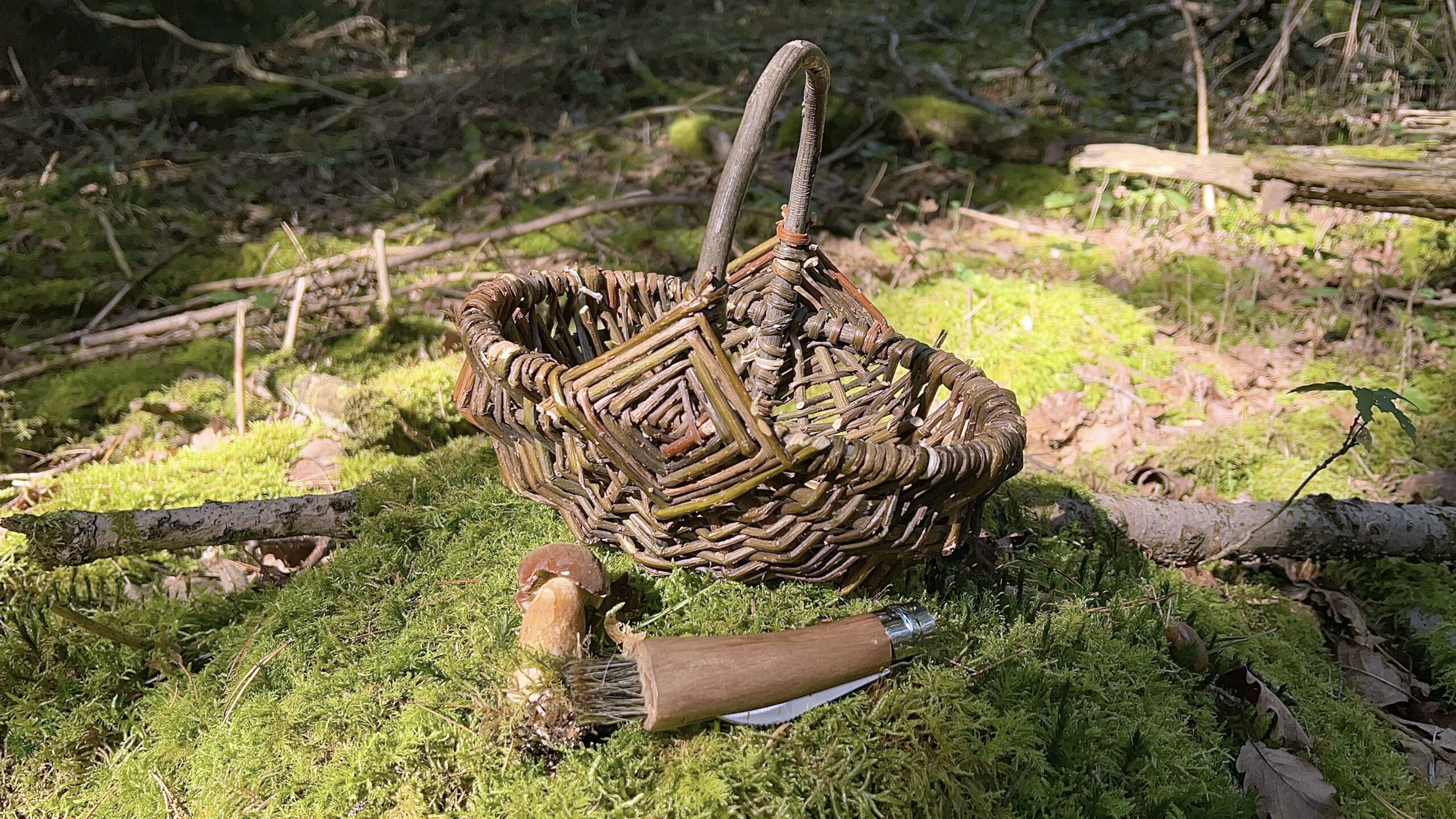 Pilzkorb Naturweide klein "Maroni" | Kids