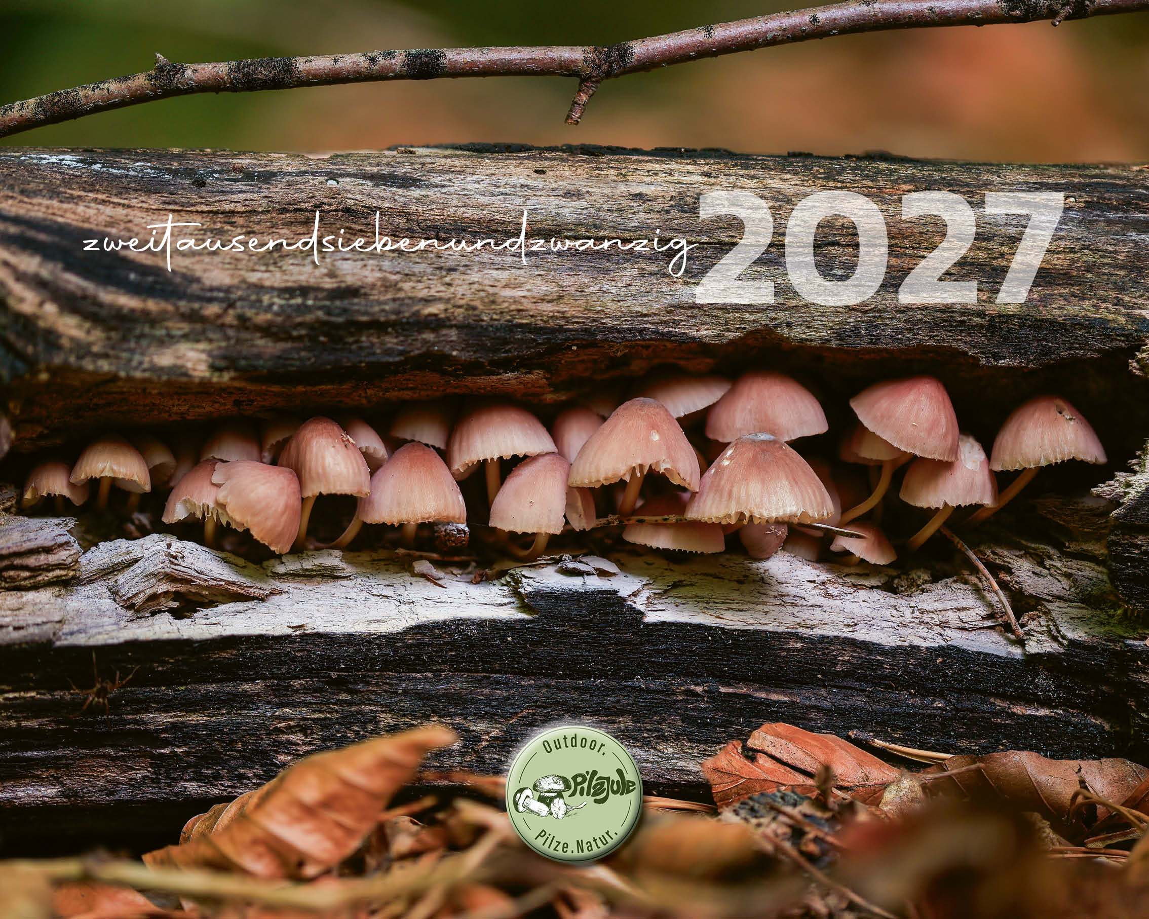 Mein Kalender 2027