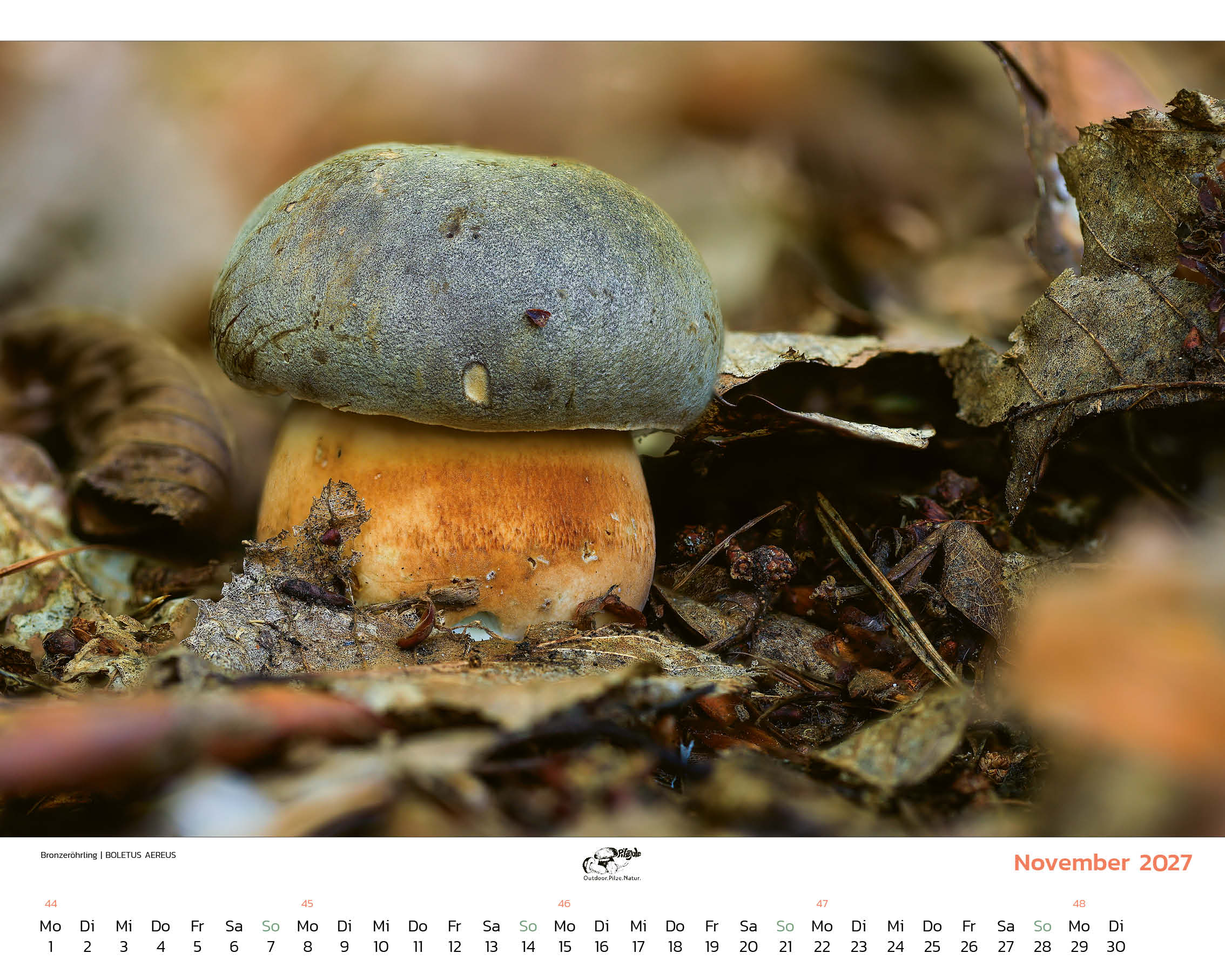 Mein Kalender 2027 – Bild 3