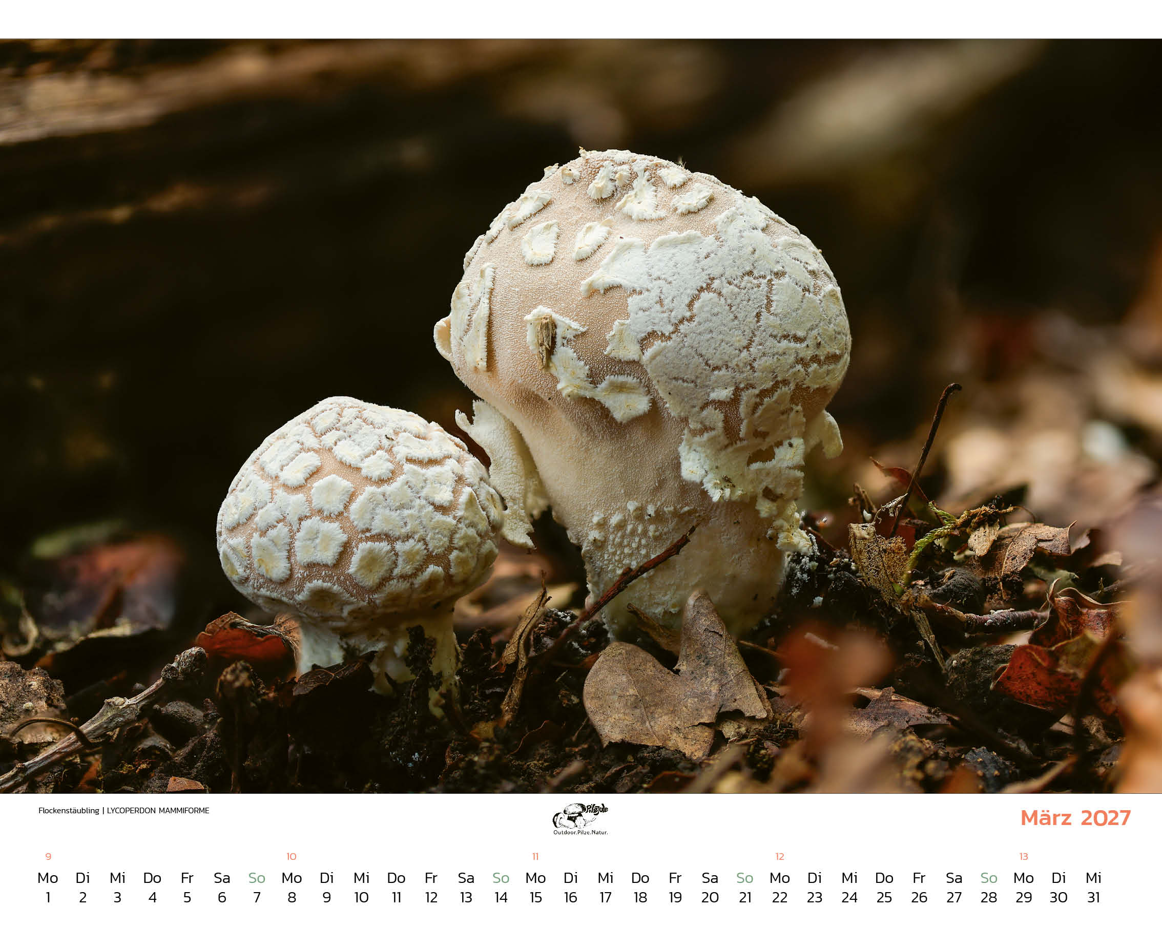 Mein Kalender 2027 – Bild 5