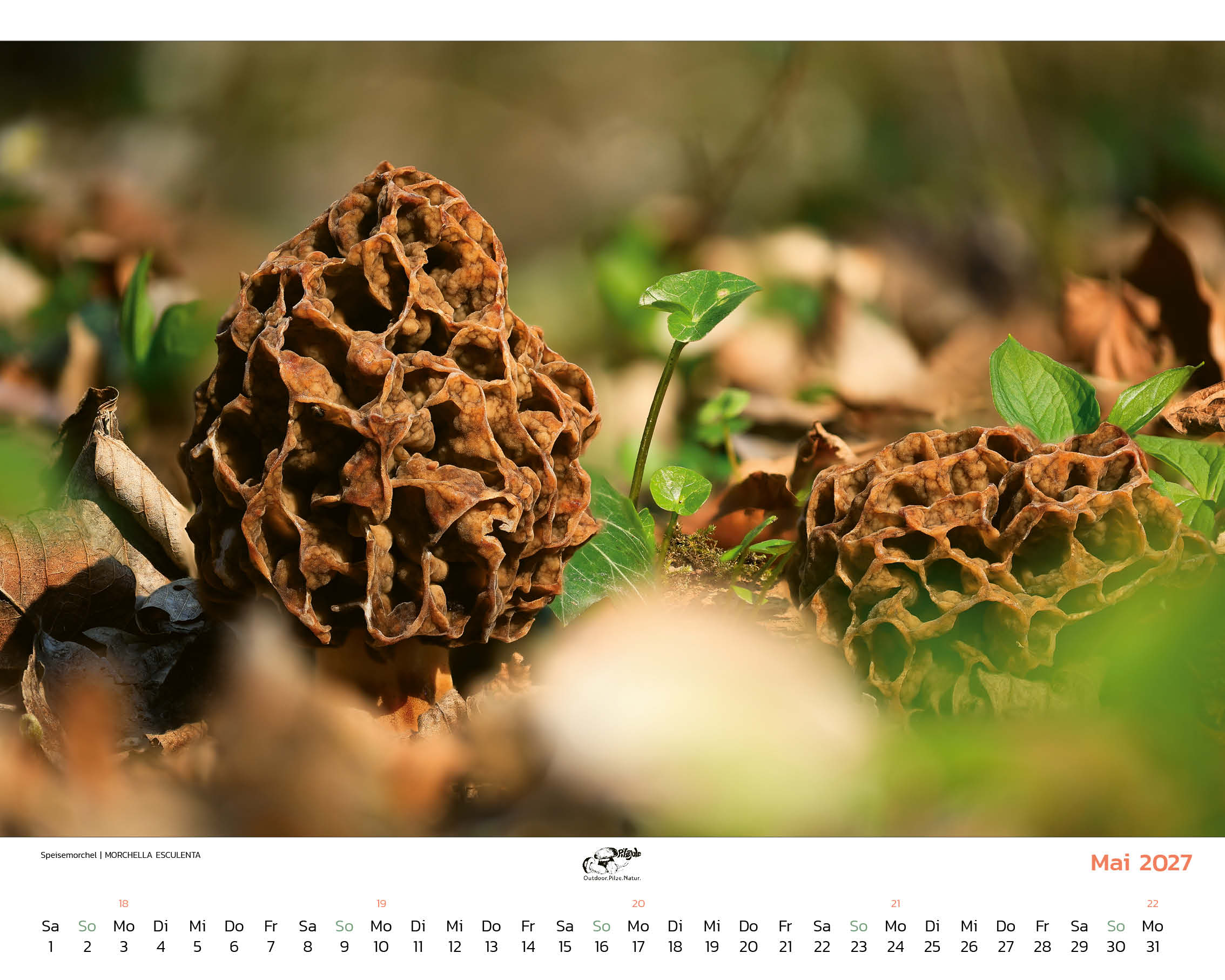 Mein Kalender 2027 – Bild 2
