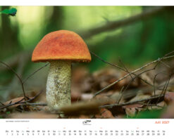 Mein Kalender 2027 – Bild 4