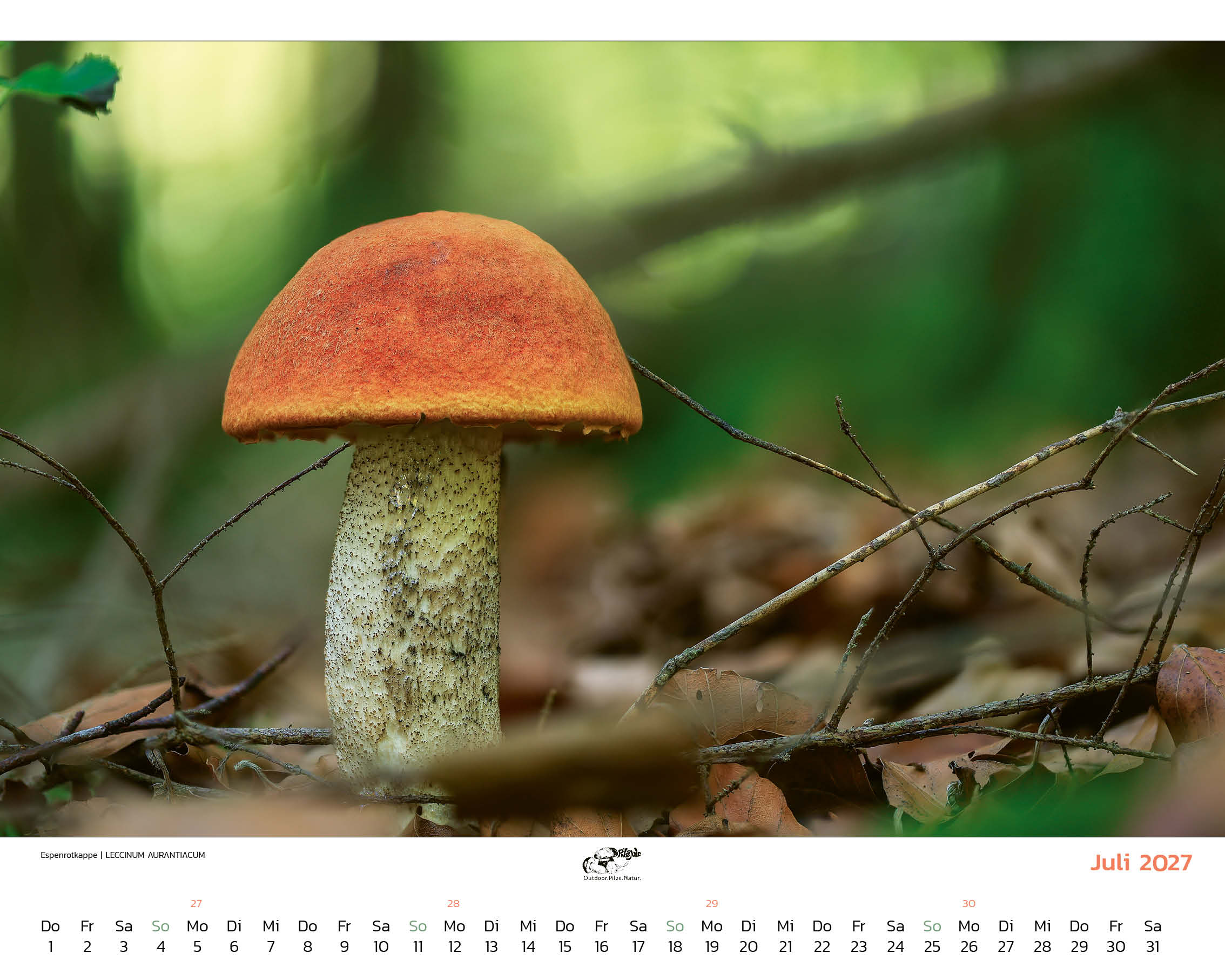 Mein Kalender 2027 – Bild 4